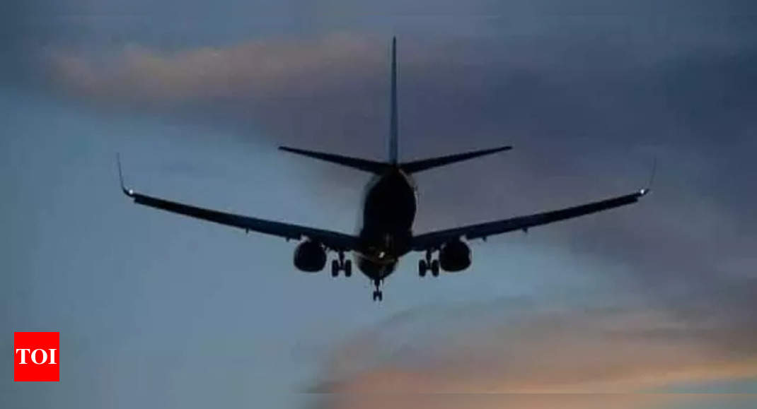 Govt to launch e-licenses for pilots; India to be second country to do so for flight crew | India News - The Times of India