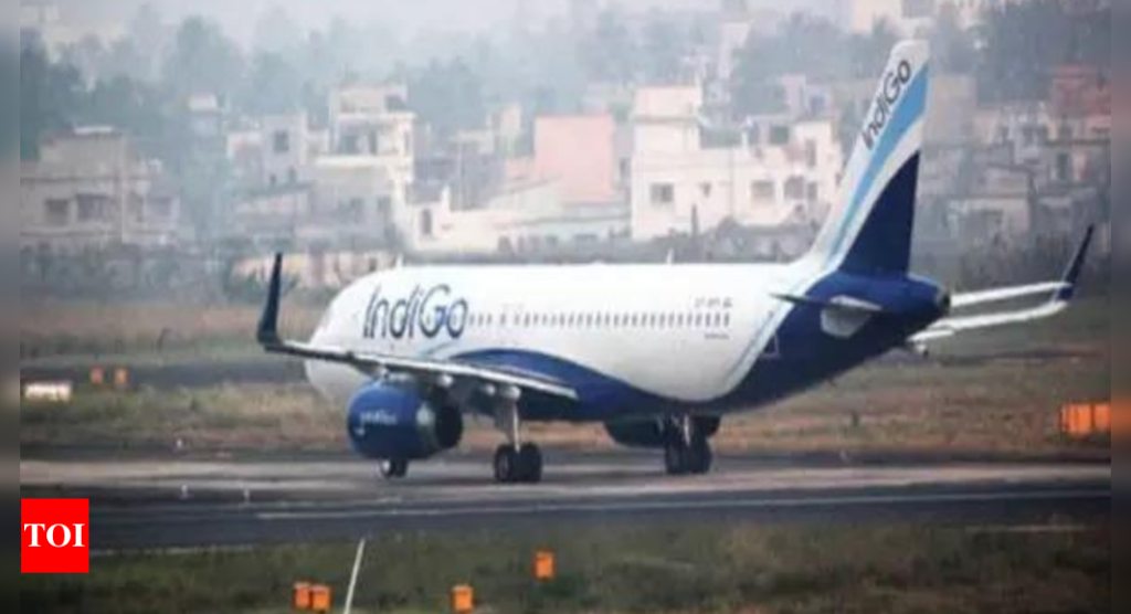 IndiGo to damp lease three more Boeing 787-9 for international expansion - The Times of India