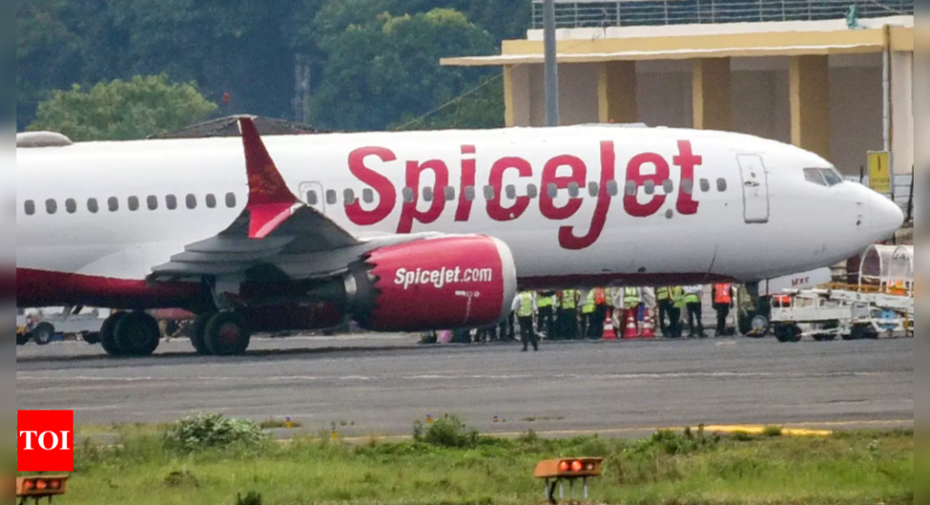 SpiceJet posts Rs 26cr profit in Dec quarter - The Times of India