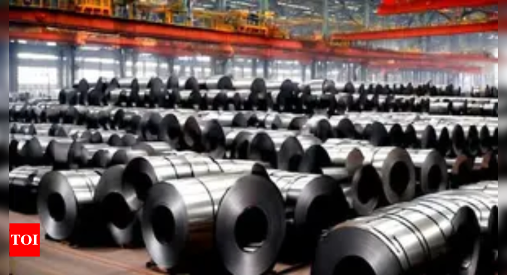 Tata Steel MD bats for safeguard duties on imported steel - The Times of India